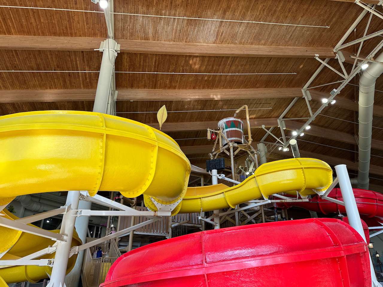 Water slides at Great Wolf Lodge