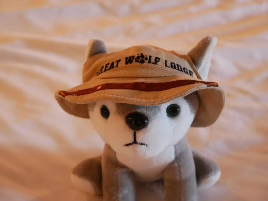 stuffed animal that came with our Great Wolf Lodge gift card