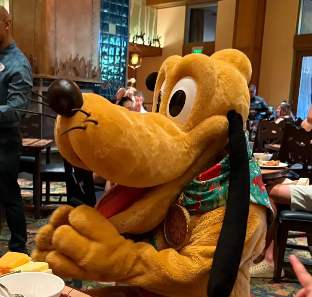 Pluto at Disney's Grand Californian Hotel