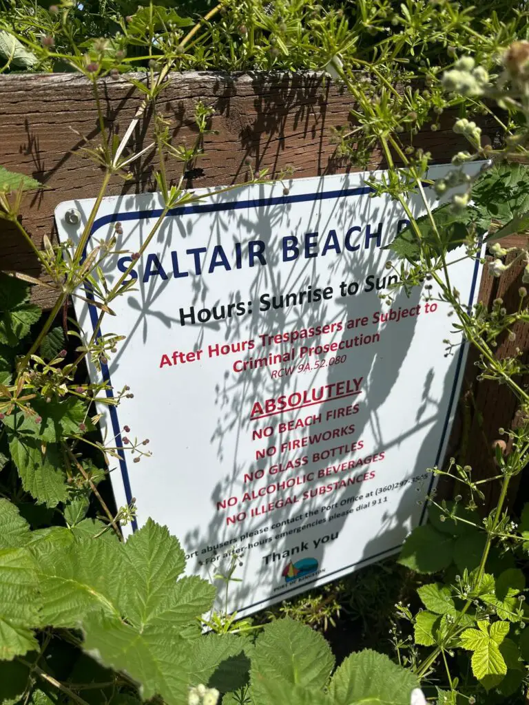Saltair Park description