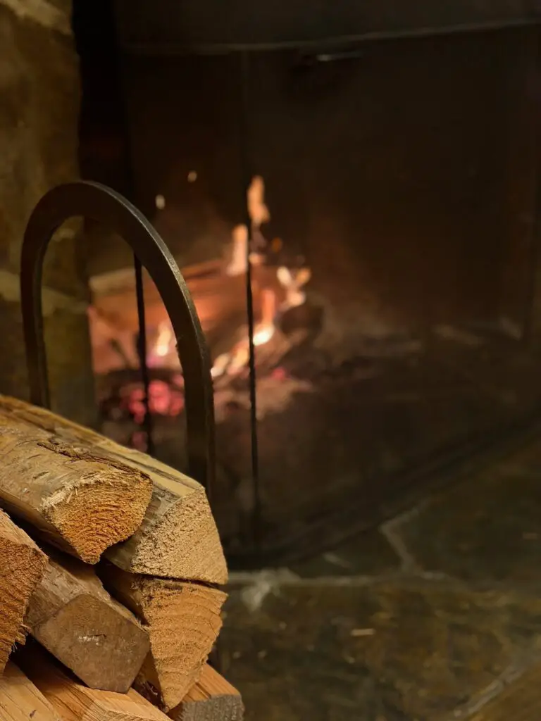 fireplace and logs